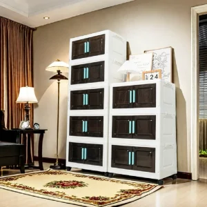 5-Tier Foldable Storage Organizer